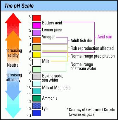 pH - What is it and is this important?