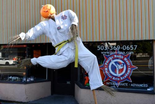Pacific Northwest Martial Arts Academy