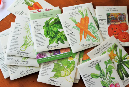 Photo of seed packets laying on a smooth surface