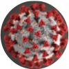 Image of COVID-19 cell
