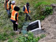 Engineers and contractors examine new storm grate for South 10th Street storm drain reroute project