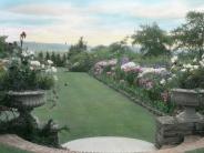Vintage colored slide of manicured estate garden with lawn. 