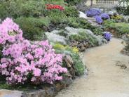 Vintage colored slide of garden with gravel pathway and flowers in bloom