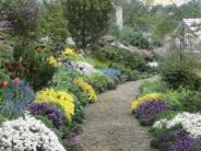 Vintage colored slide of garden with gravel path lined with blooming flowers