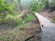 Boardwalk over wetland area along new 5th Street Trail Connector 