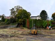 Equipment doing vegetation removal along vacant riverfront property. 