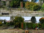 Before and after pictures of fence and vegetation removal on riverfront property. 