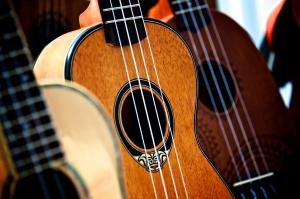 Close up picture of ukuleles in a row