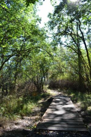 Nob Hill Nature Park trail with wooden boardwalk over wetland area 