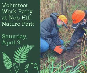 Volunteer work party at Nob Hill Nature Park, April 3