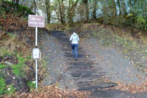 Woman walking up stairs to park 