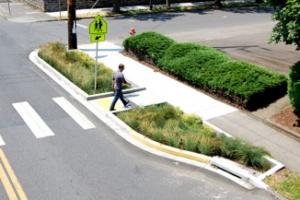 Street design example with pedestrian walking across striped crosswalk with landscaped sidewalk