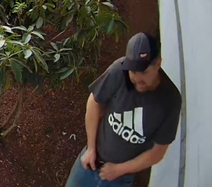 Individual in baseball cap and Adidas shirt walking on surveillance footage. 