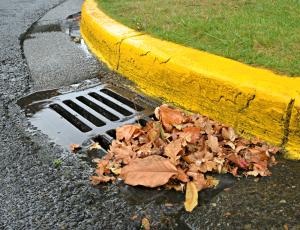 Fallen leaves partially blocking a storm drain