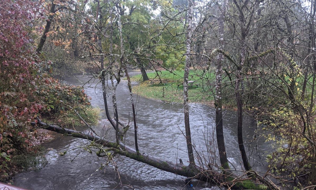 Milton Creek